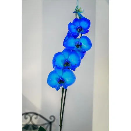 La Chicca In Centro Nocleg ze śniadaniem